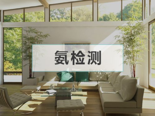 氨浓度检测