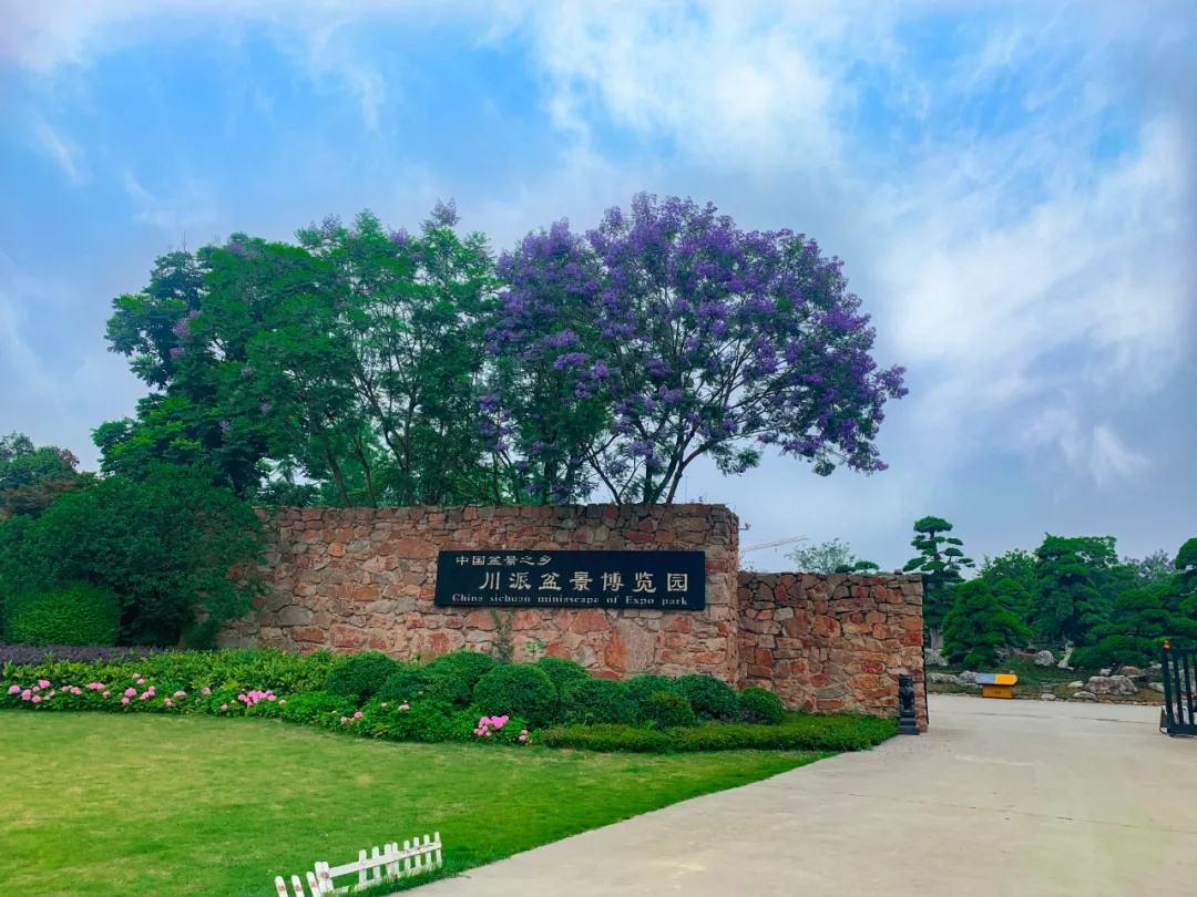 川派盆景博览园竣工验收.jpg